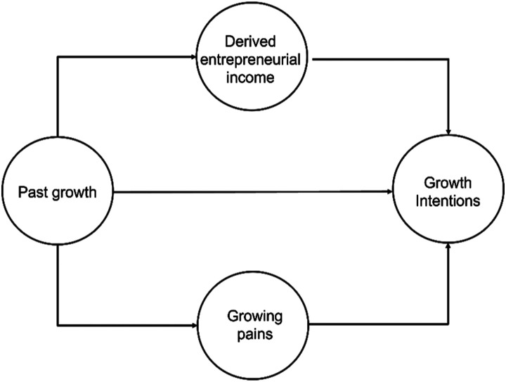 On the consequences of firm growth.