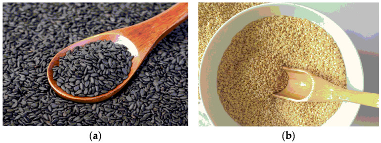 Sesame (<i>Sesamum indicum</i> L.): A Comprehensive Review of Nutritional Value, Phytochemical Composition, Health Benefits, Development of Food, and Industrial Applications.