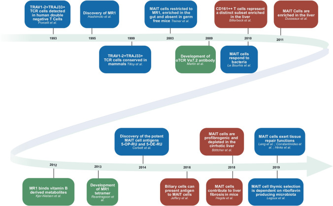 Correction to: MAIT cells in liver inflammation and fibrosis.