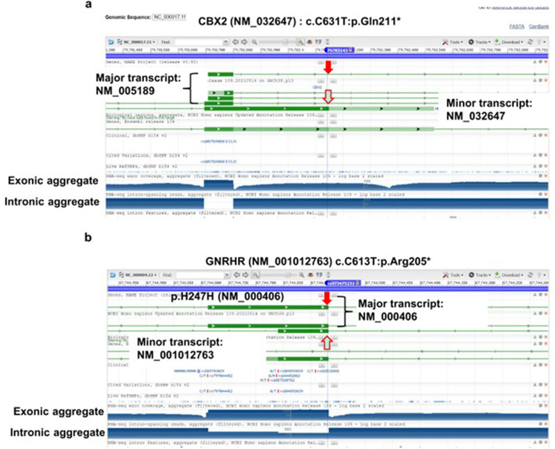 Pathological variants in genes associated with disorders of sex development and central causes of hypogonadism in a whole-genome reference panel of 8380 Japanese individuals.