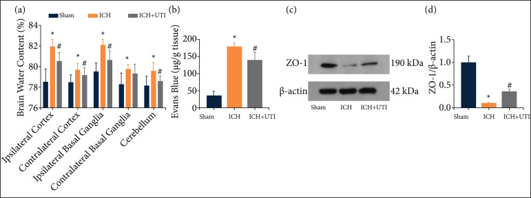 Ulinastatin alleviates early brain injury after intracerebral hemorrhage by inhibiting oxidative stress and neuroinflammation via ROS/MAPK/Nrf2 signaling pathway.