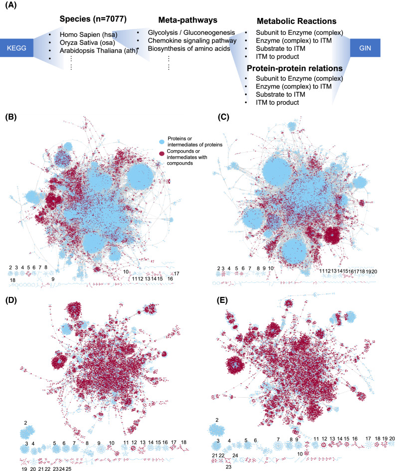 The global integrative network: integration of signaling and metabolic pathways