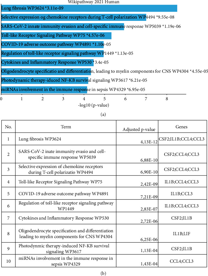 Differentially Expressed Genes Study Shown Potential for BCG Stimulation in Reducing the Severity of COVID-19.