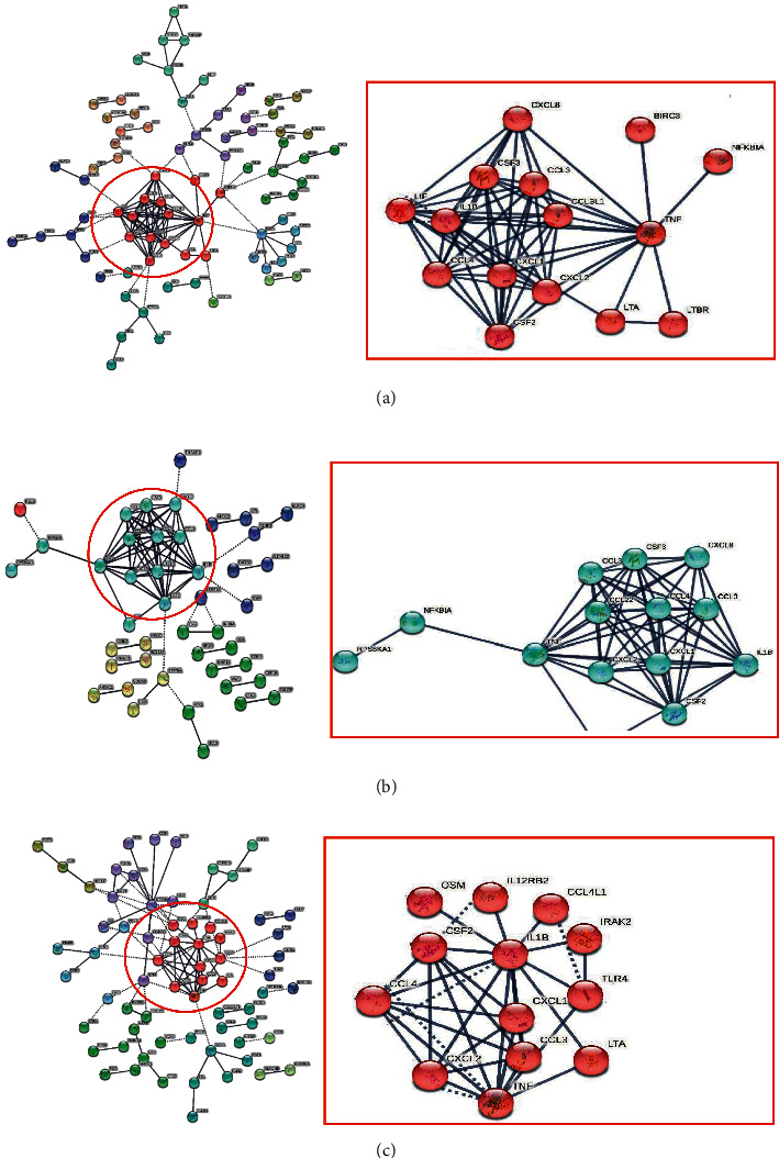 Differentially Expressed Genes Study Shown Potential for BCG Stimulation in Reducing the Severity of COVID-19.
