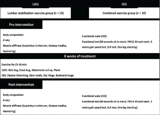 Effects of combined hip exercise and passive stretching on muscle stiffness, pain perception and painrelated disability, and physical function in older adults with low back pain.