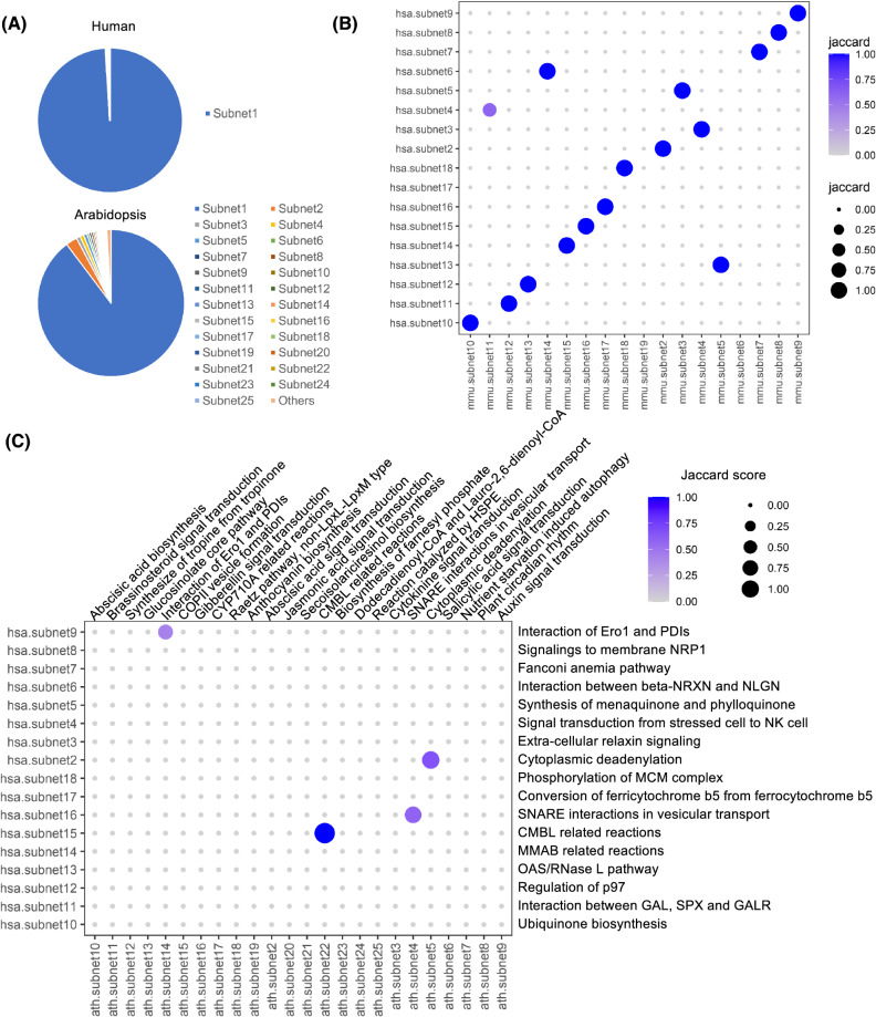 The global integrative network: integration of signaling and metabolic pathways