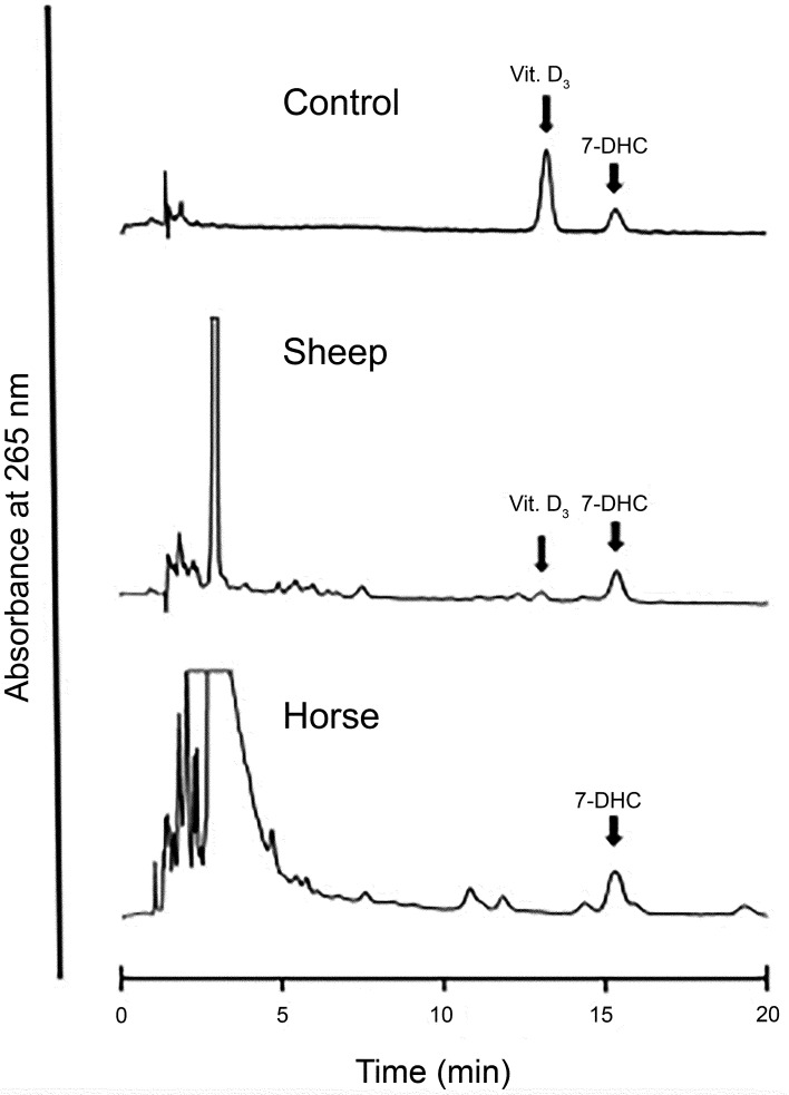 Undetectable vitamin D<sub>3</sub> in equine skin irradiated with ultraviolet light.