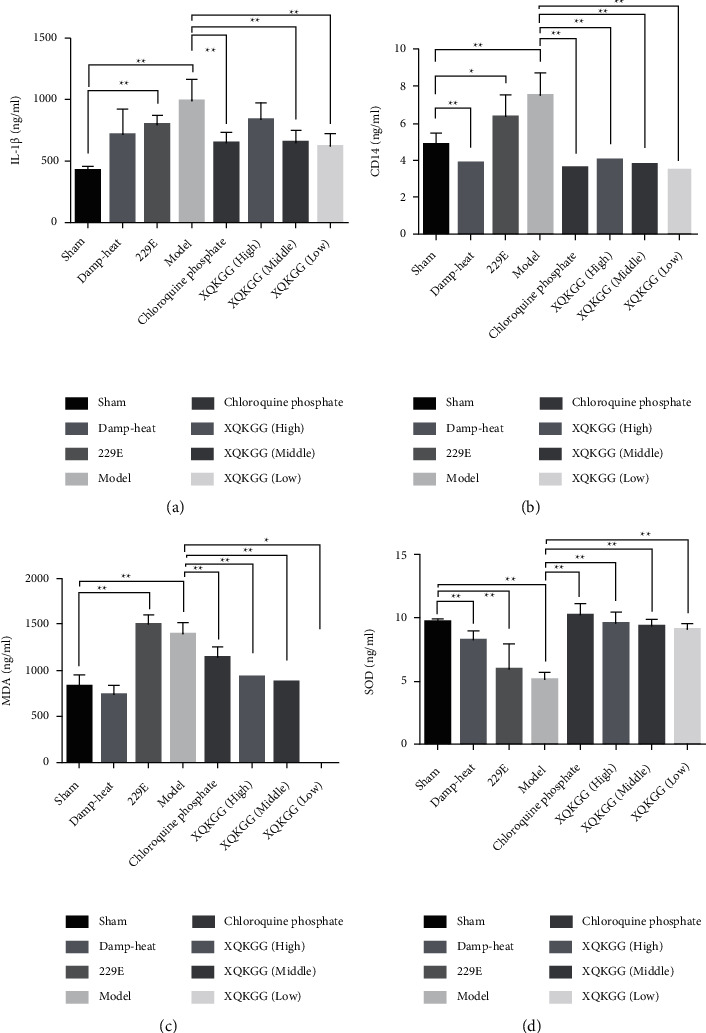 Xiang Qin Kang Gan Granules Treated the Human Coronavirus 229E Induced Pneumonia with Damp-Heat Syndrome in Mice.