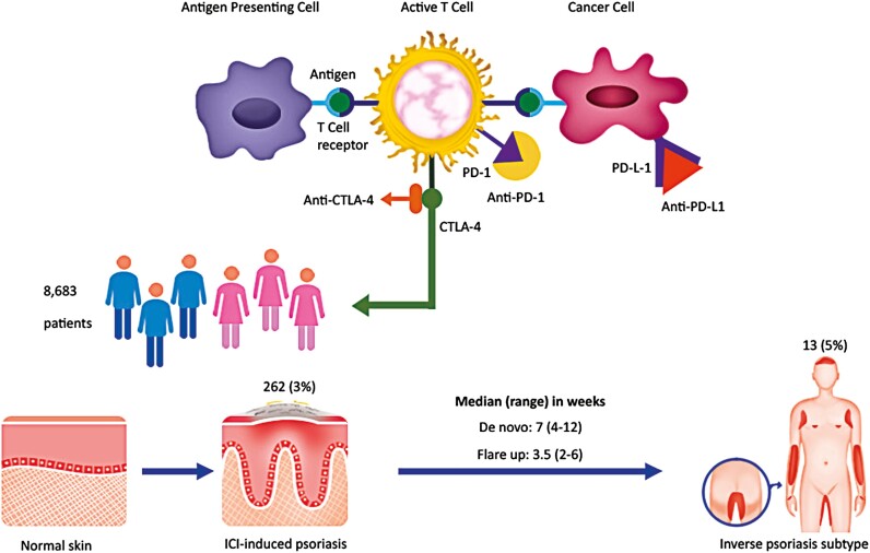 Prevalence of inverse psoriasis subtype with immune checkpoint inhibitors.