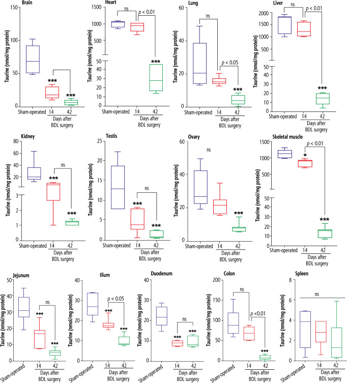 Cellular and mitochondrial taurine depletion in bile duct ligated rats: a justification for taurine supplementation in cholestasis/cirrhosis.