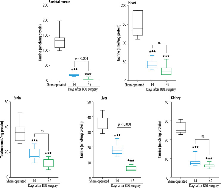 Cellular and mitochondrial taurine depletion in bile duct ligated rats: a justification for taurine supplementation in cholestasis/cirrhosis.