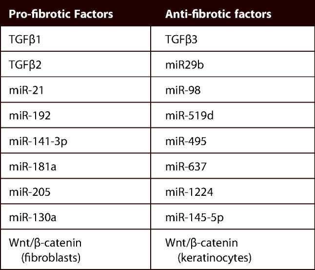 Is the future scarless? - Fibroblasts as targets for scarless wound healing: a narrative review.