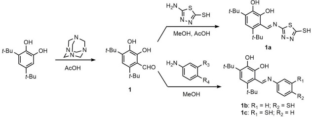 Silver(I) complexes with phenolic Schiff bases: Synthesis, antibacterial evaluation and interaction with biomolecules.