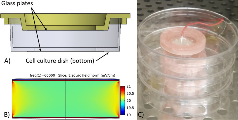 Effect of uniform capacitively coupled electric fields on matrix metabolism of osteoarthritic cartilage.