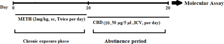 Cannabidiol Modulating the Expression of Neurotrophin Signaling Pathways in Chronic Exposure to Methamphetamine in Rats During Abstinence Period.