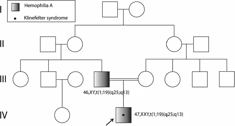 Clinical, cytogenetic, and genomic analyses of an Ecuadorian subject with Klinefelter syndrome, recessive hemophilia A, and 1;19 chromosomal translocation: a case report.