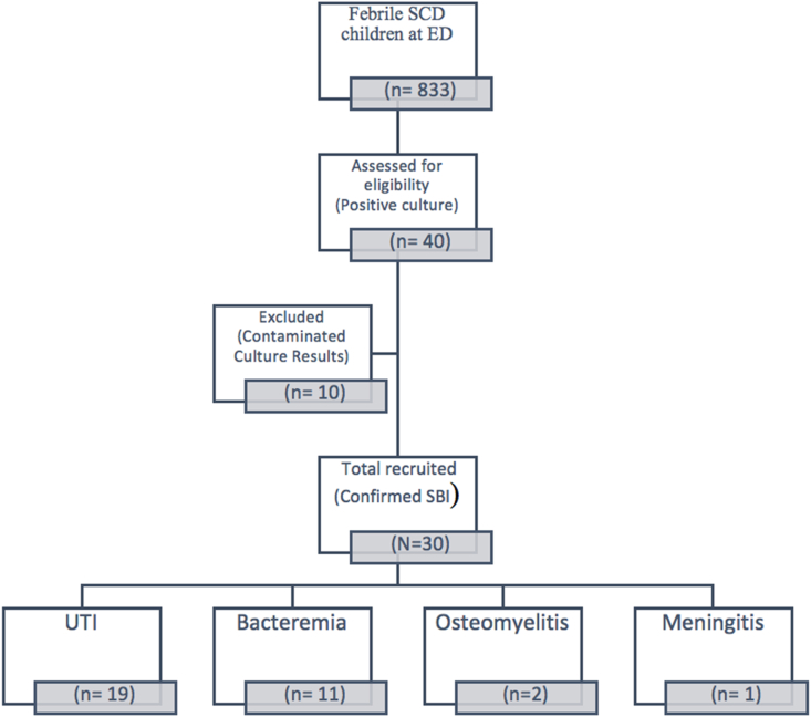 Frequency of serious bacterial infection among febrile sickle cell disease children in the era of the conjugate vaccine: A retrospective study