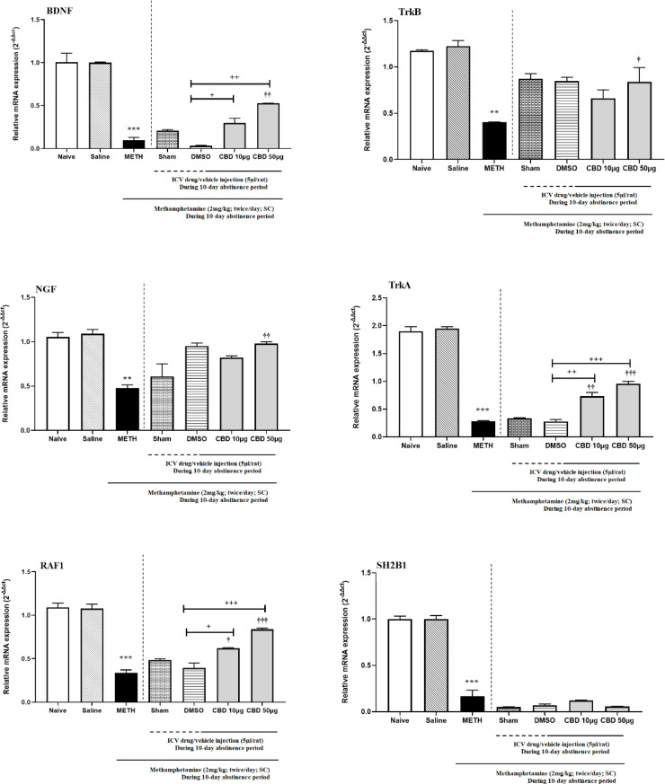 Cannabidiol Modulating the Expression of Neurotrophin Signaling Pathways in Chronic Exposure to Methamphetamine in Rats During Abstinence Period.