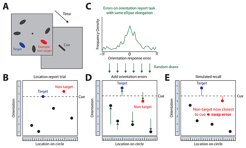 Swap errors in visual working memory are fully explained by cue-feature variability