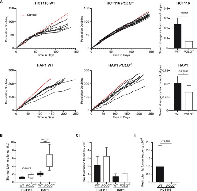 POLQ suppresses genome instability and alterations in DNA repeat tract lengths.