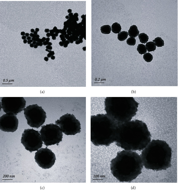 Synthesis of Carbon-Encapsulated Magnetic Iron Oxide Nanocomposites for Bioapplication.