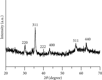 Synthesis of Carbon-Encapsulated Magnetic Iron Oxide Nanocomposites for Bioapplication.