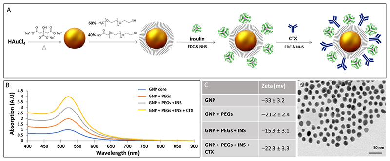 Antibody Delivery into the Brain by Radiosensitizer Nanoparticles for Targeted Glioblastoma Therapy.