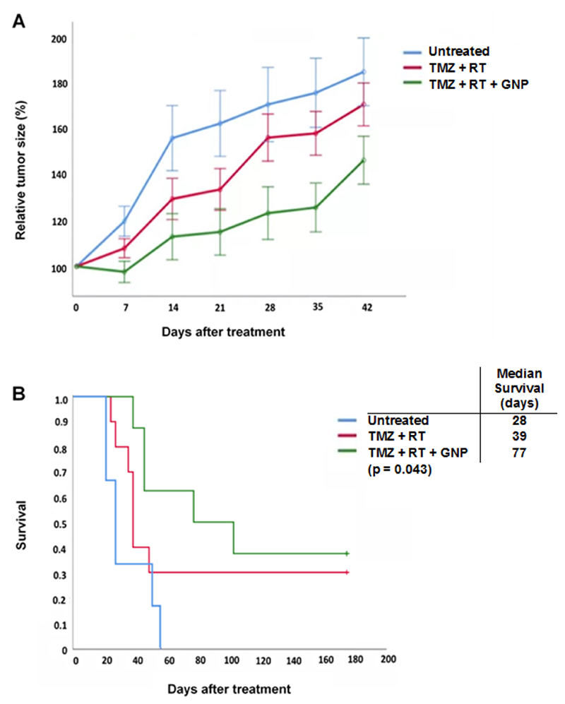 Antibody Delivery into the Brain by Radiosensitizer Nanoparticles for Targeted Glioblastoma Therapy.