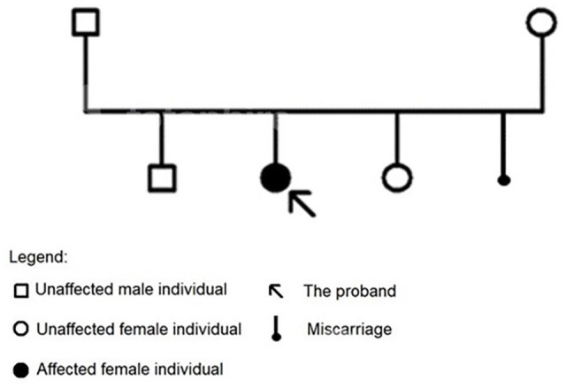 R306X Mutation in the <i>MECP2</i> Gene Causes an Atypical Rett Syndrome in a Moroccan Patient: A Case Report.