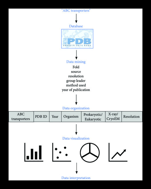 Meta-Analysis of the Expansion in the Field of Structural Biology of ABC Transporters.