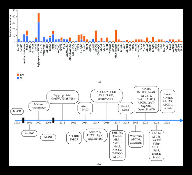 Meta-Analysis of the Expansion in the Field of Structural Biology of ABC Transporters.