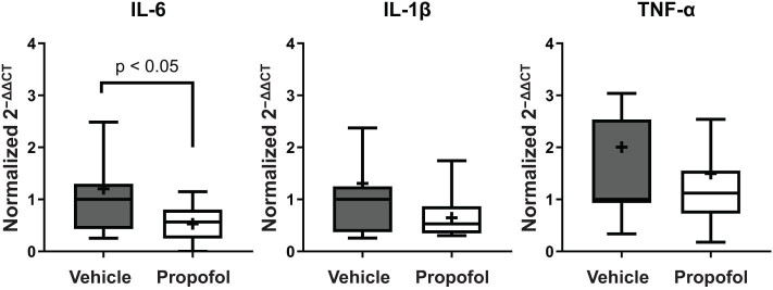 Propofol ameliorates ischemic brain injury by blocking TLR4 pathway in mice.