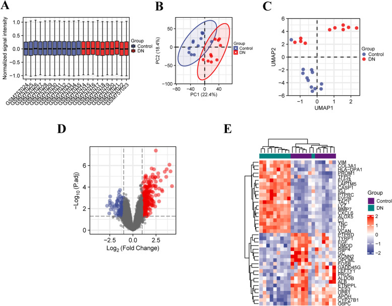 Identification of tubulointerstitial genes and ceRNA networks involved in diabetic nephropathy via integrated bioinformatics approaches.