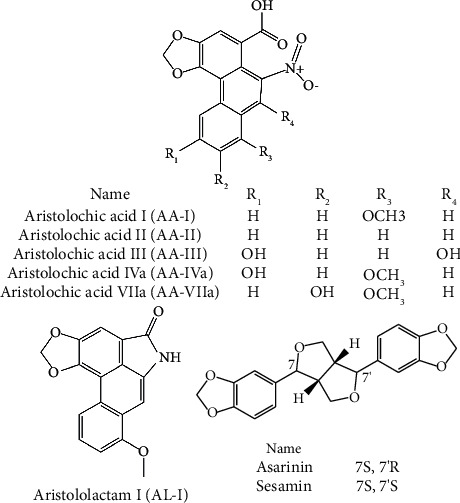 Rapid and Simultaneous Quantification of Six Aristolochic Acids and Two Lignans in Asari Radix et Rhizoma Using Ultra-Performance Liquid Chromatography-Triple Quadrupole Tandem Mass Spectrometry.