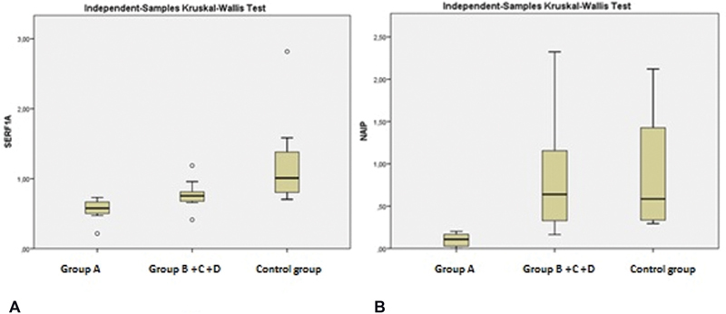 Investigation on the Effects of Modifying Genes on the Spinal Muscular Atrophy Phenotype.