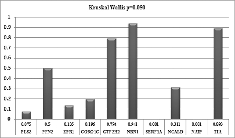 Investigation on the Effects of Modifying Genes on the Spinal Muscular Atrophy Phenotype.