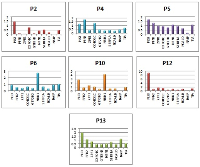 Investigation on the Effects of Modifying Genes on the Spinal Muscular Atrophy Phenotype.