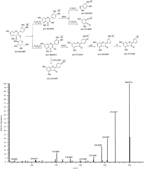 Systematic Identification, Fragmentation Pattern, And Metabolic Pathways of Hyperoside in Rat Plasma, Urine, And Feces by UPLC-Q-Exactive Orbitrap MS.