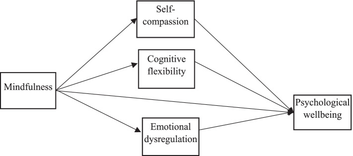 Mindfulness and psychological well-being in adolescents: the mediating role of self-compassion, emotional dysregulation and cognitive flexibility.