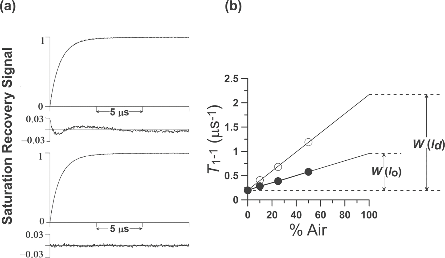 Molecular oxygen as a probe molecule in EPR spin-labeling studies of membrane structure and dynamics.