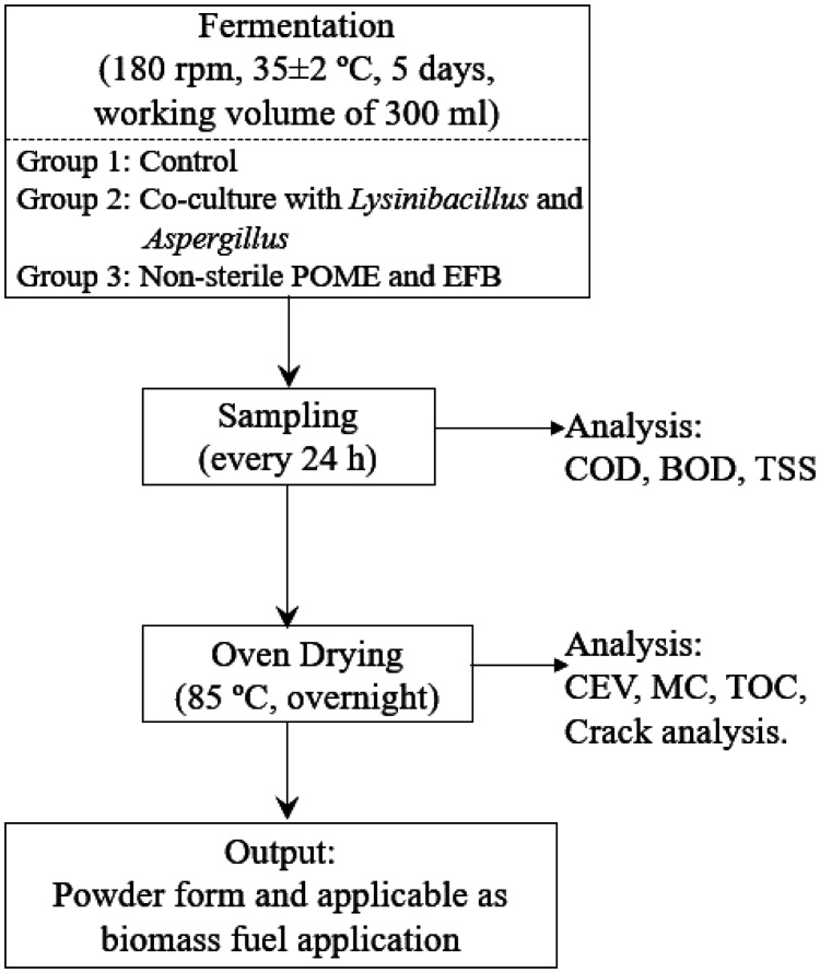 Co-fermentation involving <i>Lysinibacillus</i> sp. and <i>Aspergillus flavus</i> for simultaneous palm oil waste treatment and renewable biomass fuel production.