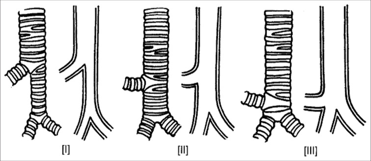 Abstract Image