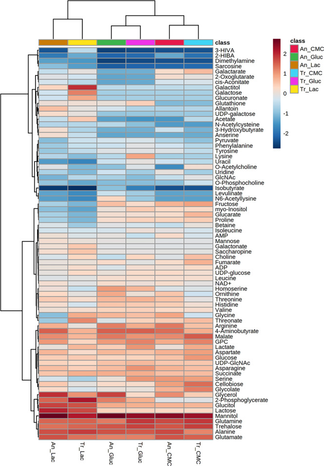 Assessing the intracellular primary metabolic profile of <i>Trichoderma reesei and Aspergillus niger</i> grown on different carbon sources.