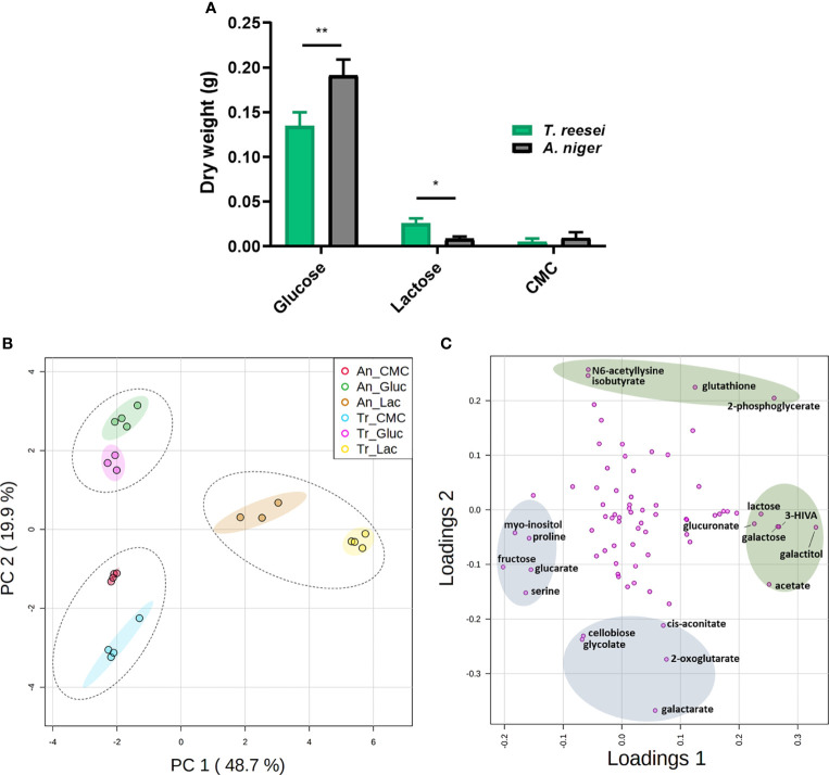 Assessing the intracellular primary metabolic profile of <i>Trichoderma reesei and Aspergillus niger</i> grown on different carbon sources.