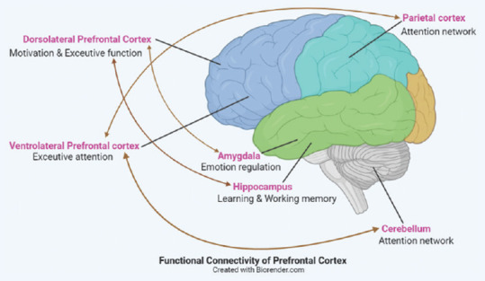 Functional Connectivity of Prefrontal Cortex in Various Meditation Techniques - A Mini-Review.