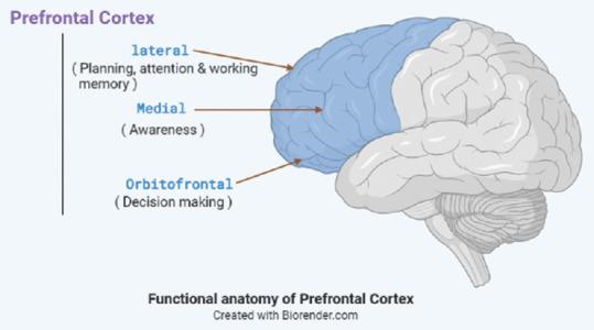 Functional Connectivity of Prefrontal Cortex in Various Meditation Techniques - A Mini-Review.