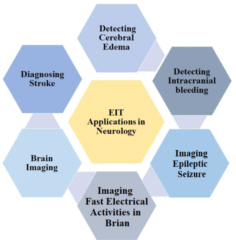 Applications of Electrical Impedance Tomography in Neurology.