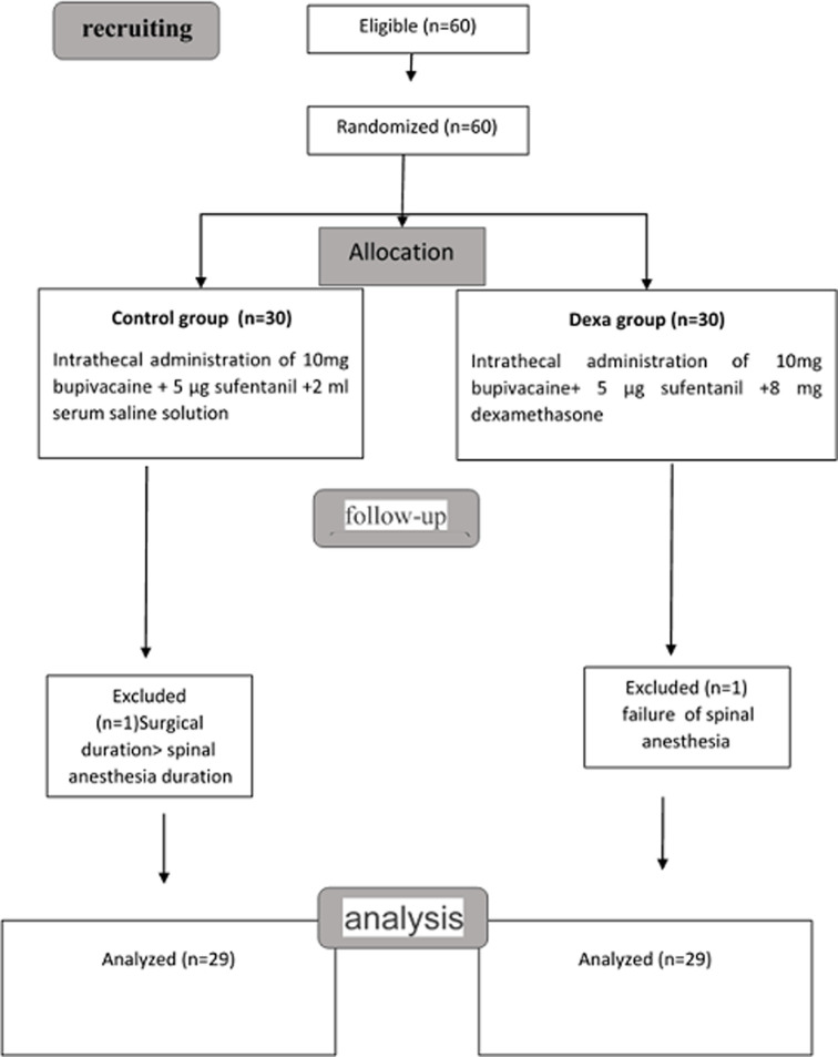 The effect of dexamethasone as an adjuvant in spinal anesthesia for femur upper extremity surgery: a prospective randomized trial.