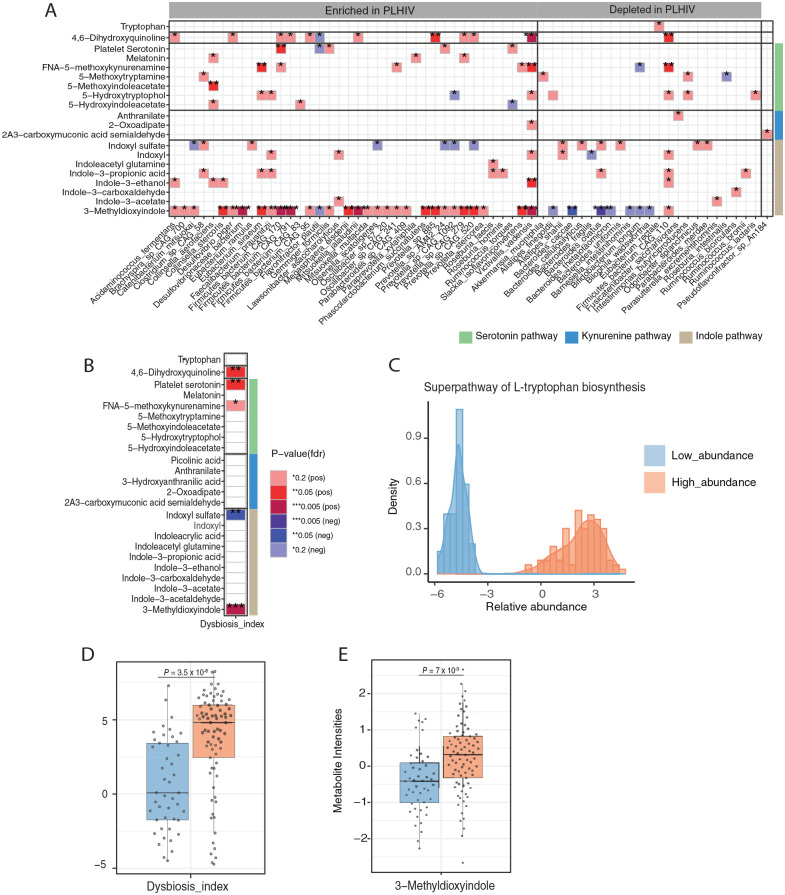 Microbiome-Related Indole and Serotonin Metabolites are Linked to Inflammation and Psychiatric Symptoms in People Living with HIV.