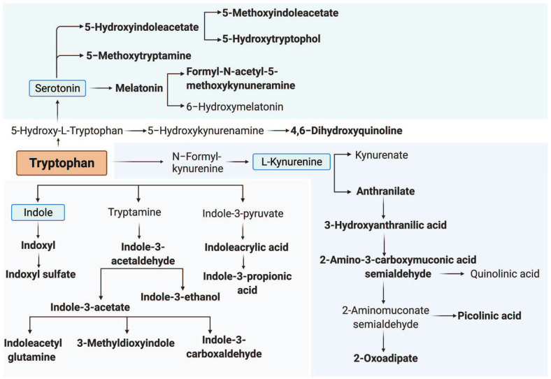 Microbiome-Related Indole and Serotonin Metabolites are Linked to Inflammation and Psychiatric Symptoms in People Living with HIV.